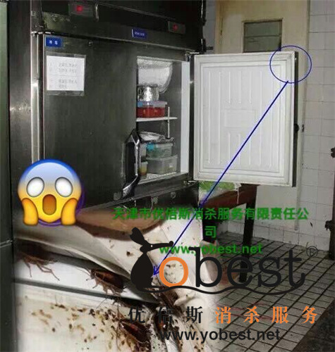 成功案例