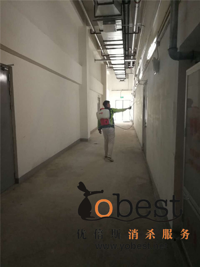 成功案例