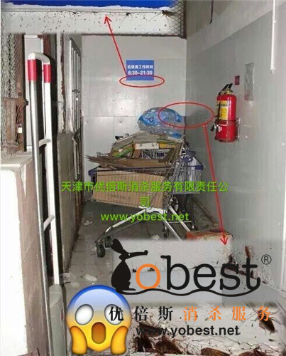 成功案例