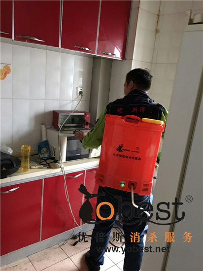 成功案例