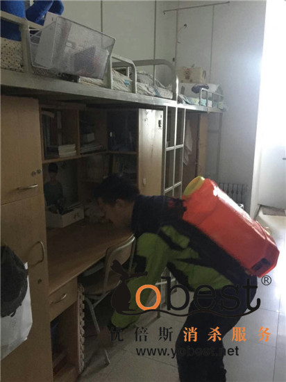 成功案例