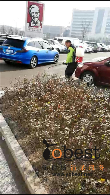 成功案例