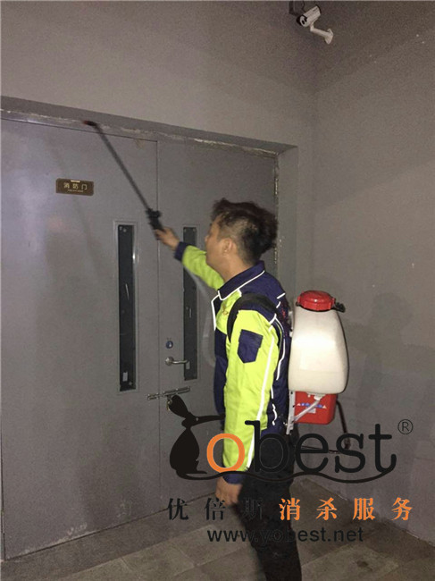 成功案例