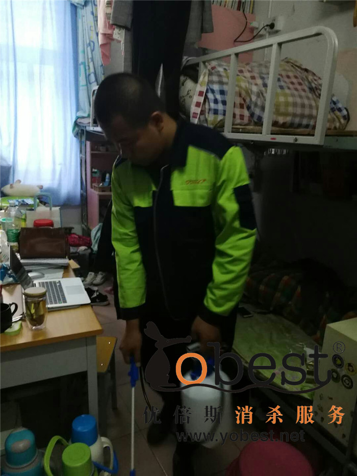 成功案例