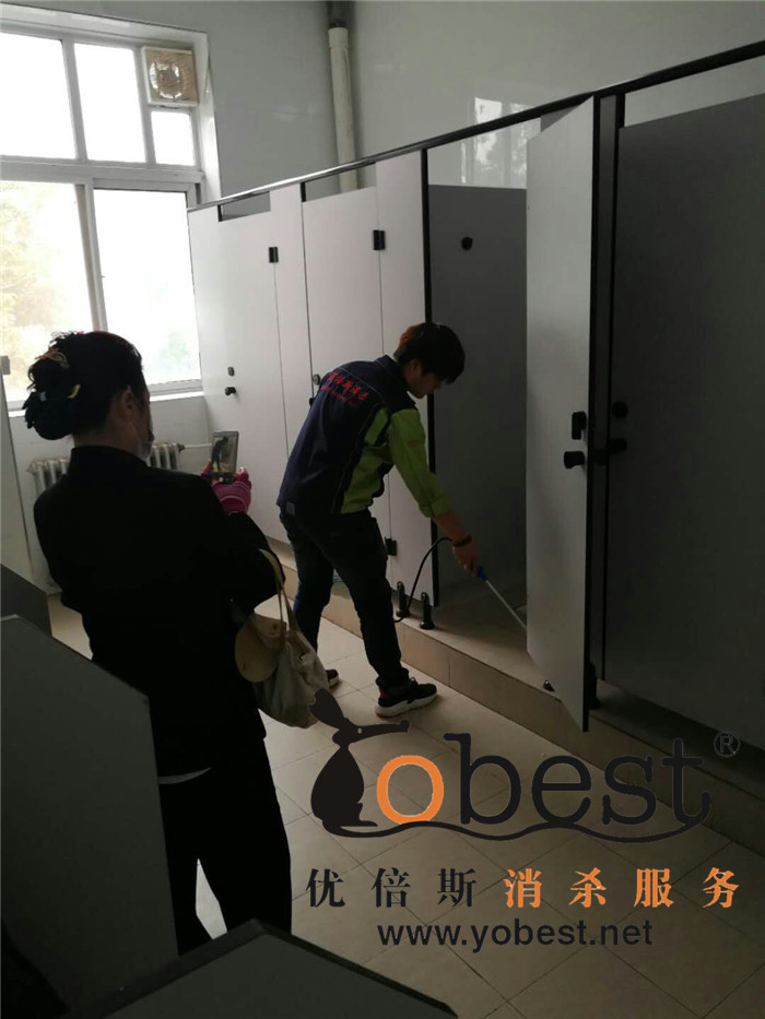 成功案例