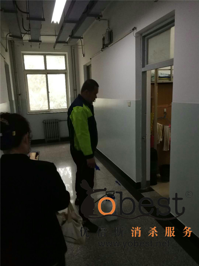 成功案例