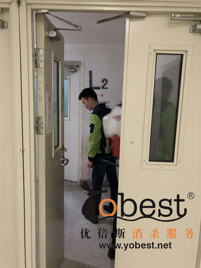 成功案例