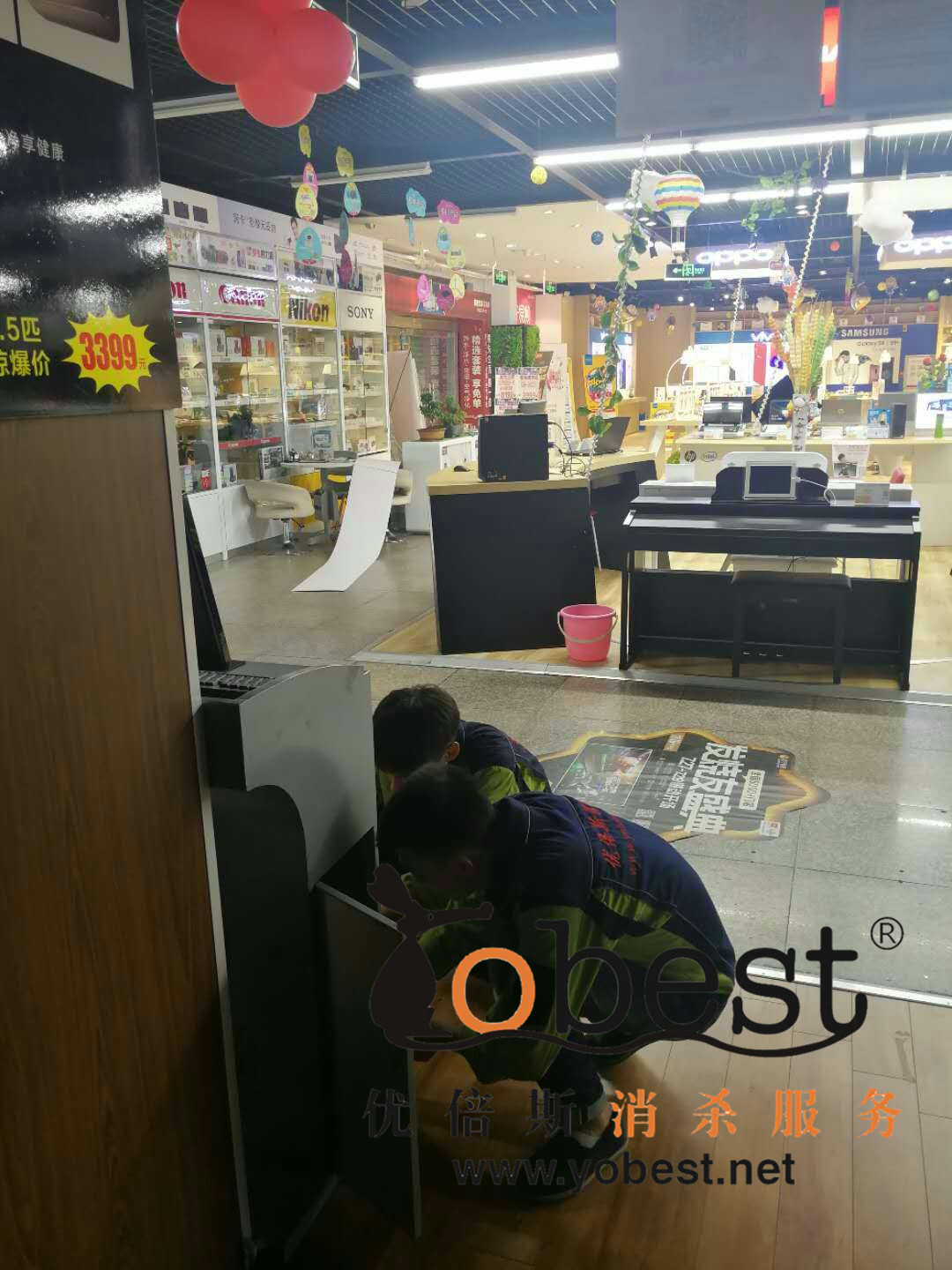 成功案例