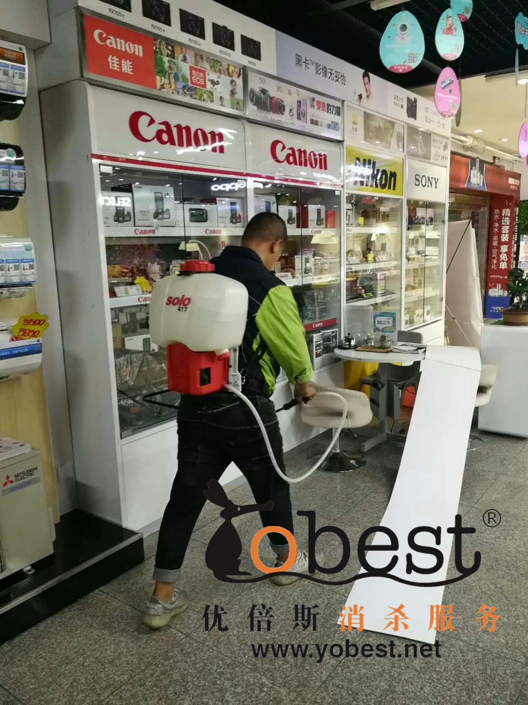 成功案例