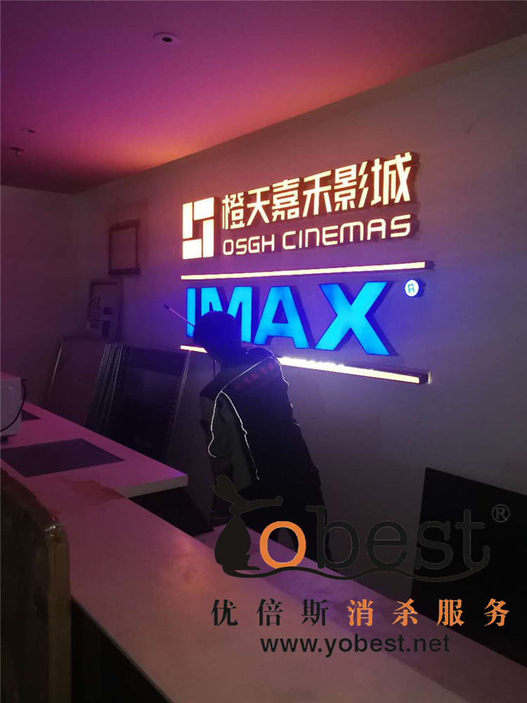 成功案例