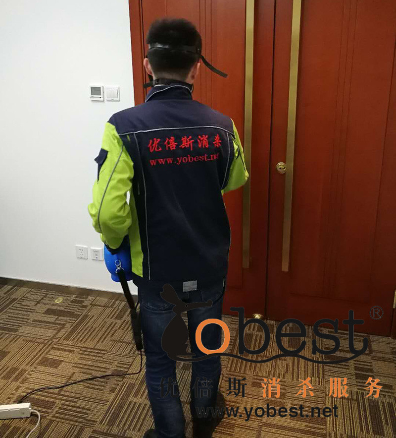 成功案例