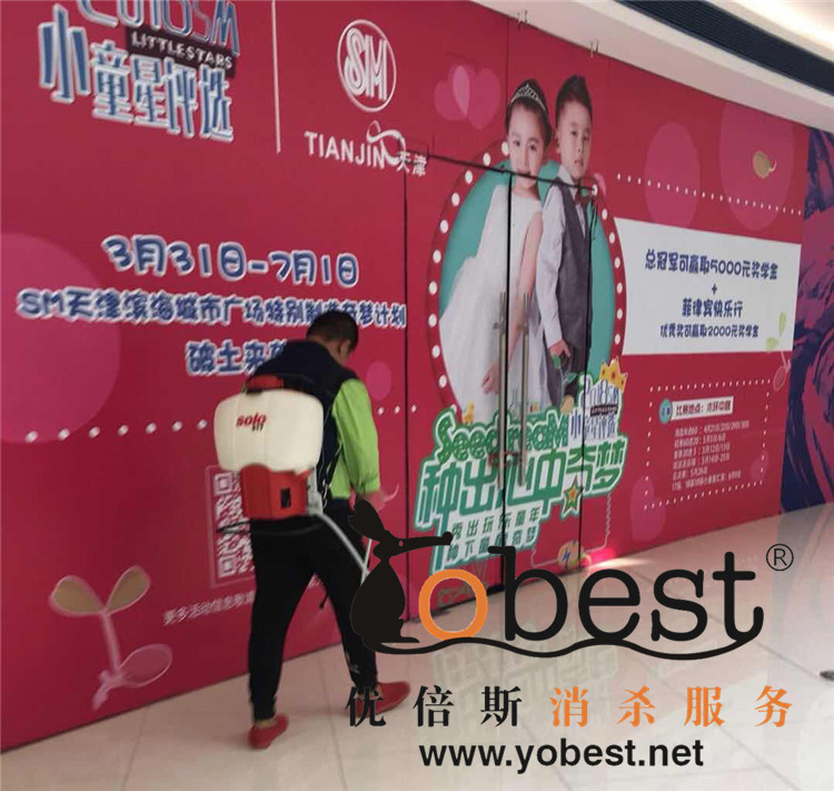 成功案例