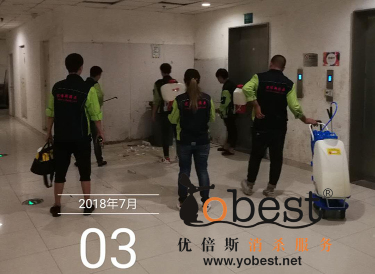 成功案例