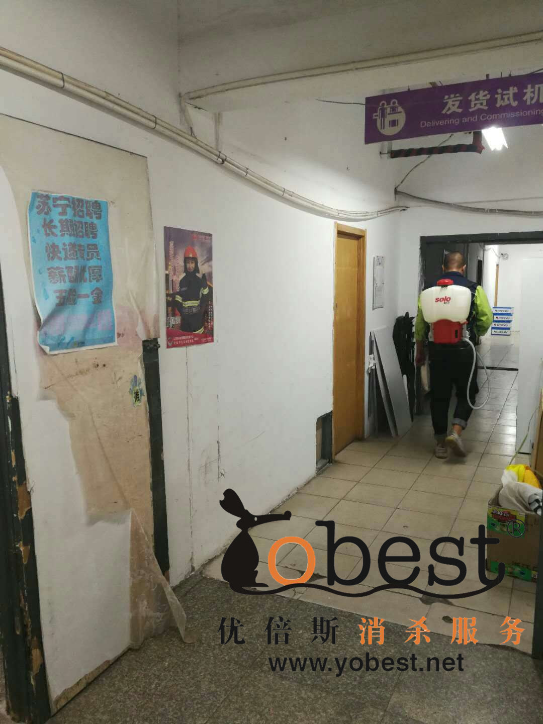 成功案例