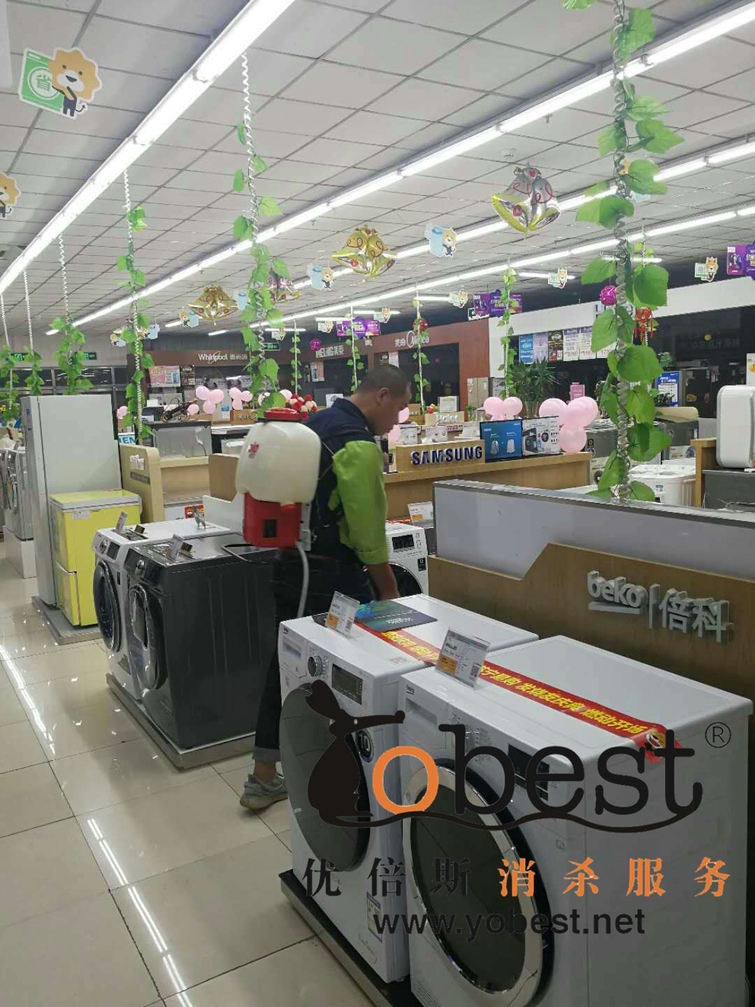 成功案例