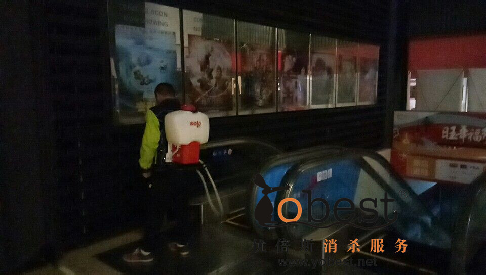 成功案例