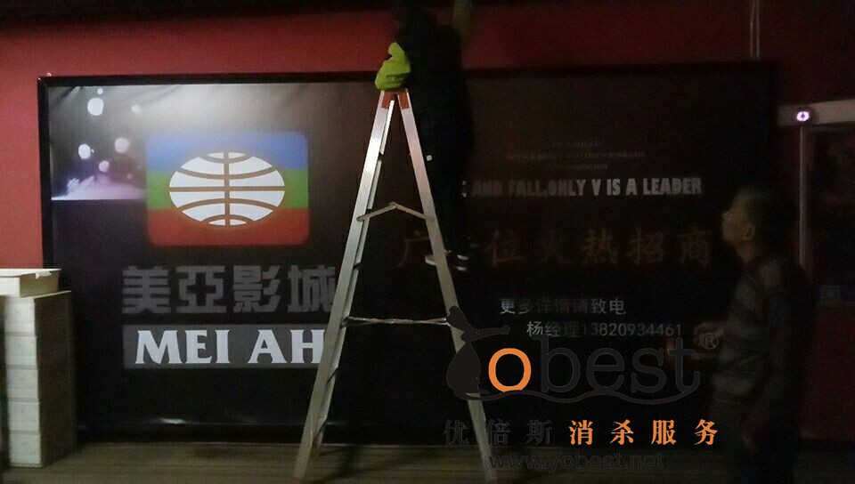 成功案例