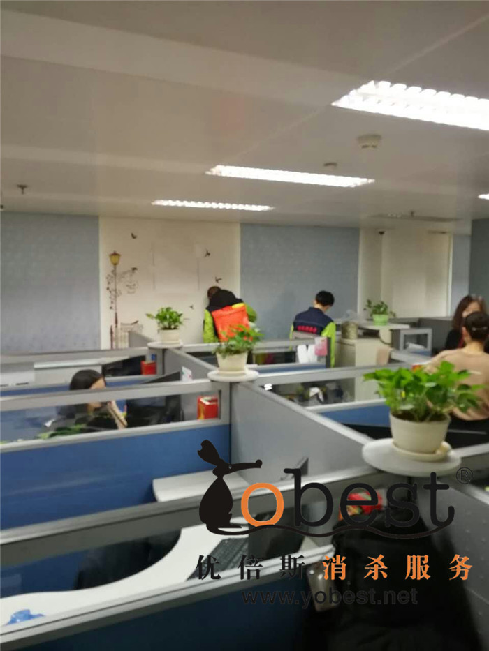 成功案例