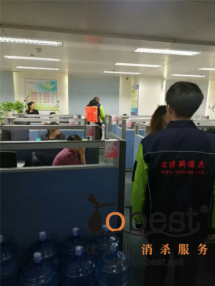 成功案例