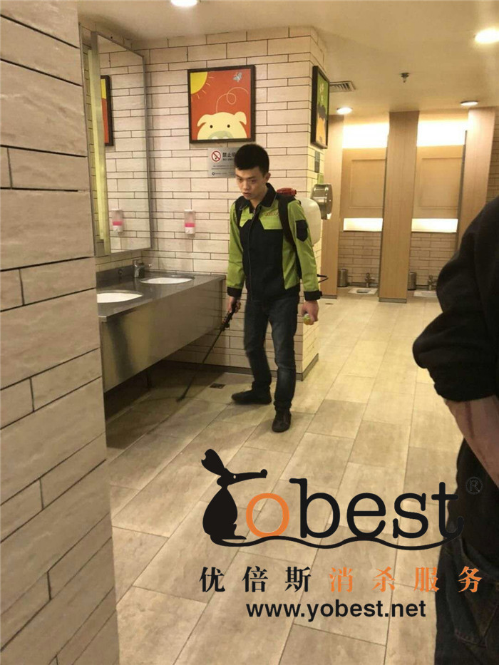 成功案例