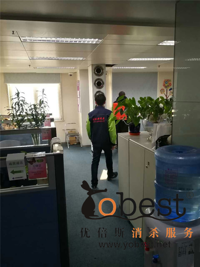 成功案例