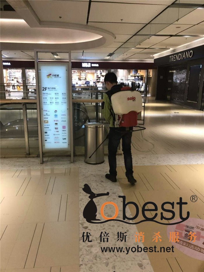 成功案例