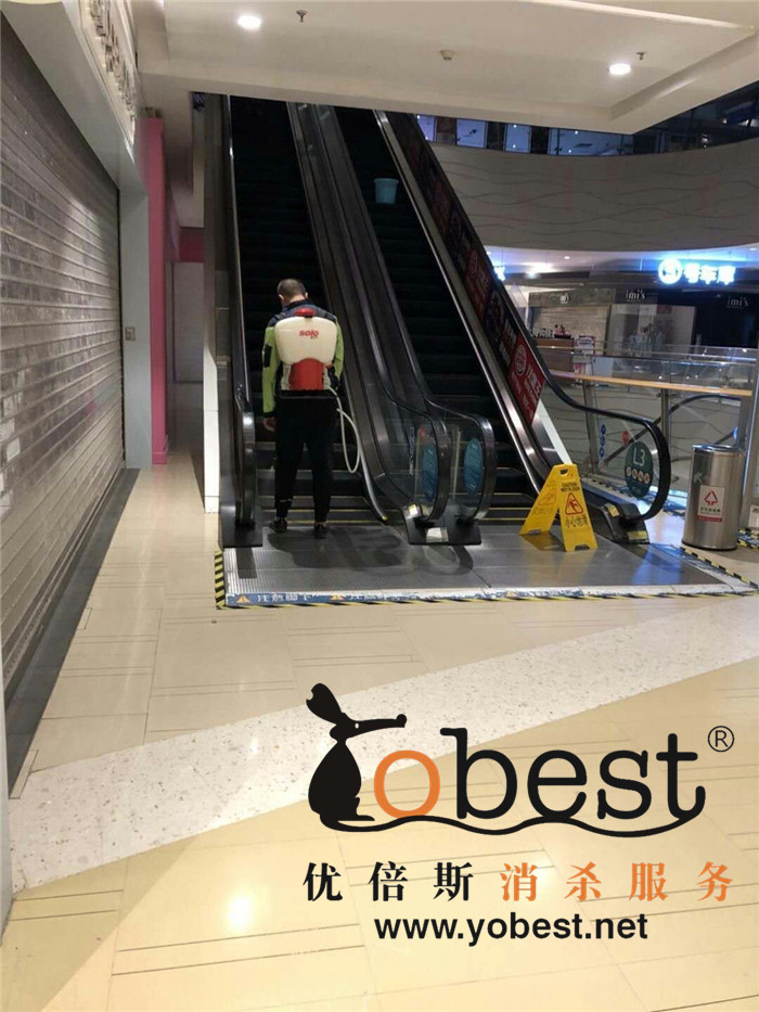 成功案例