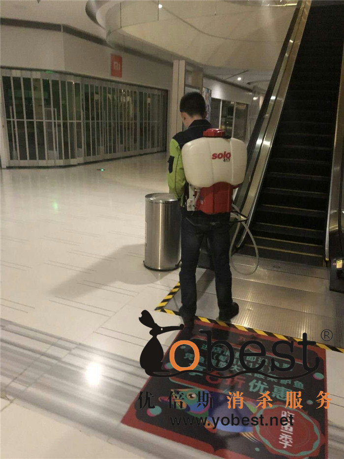 成功案例
