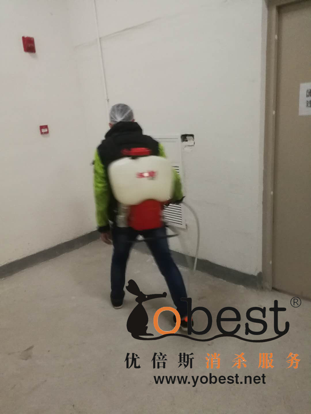 成功案例