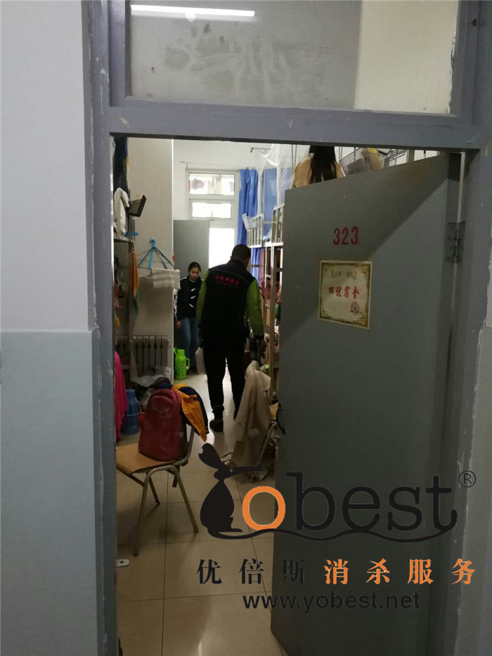 成功案例