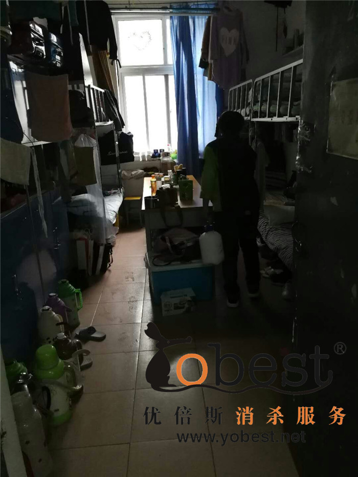 成功案例