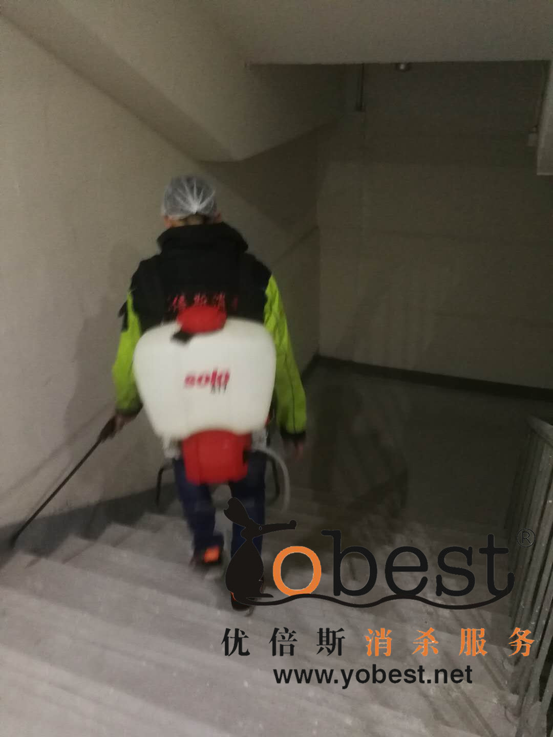 成功案例