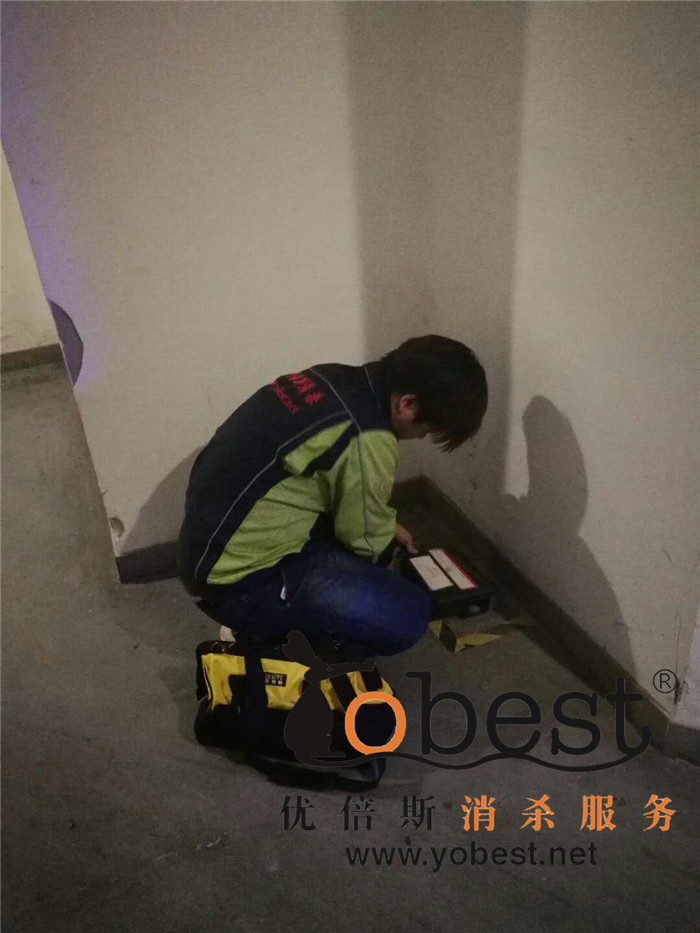 成功案例