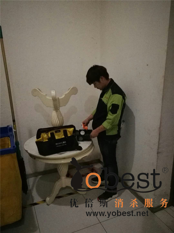 成功案例