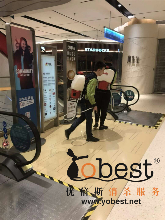 成功案例