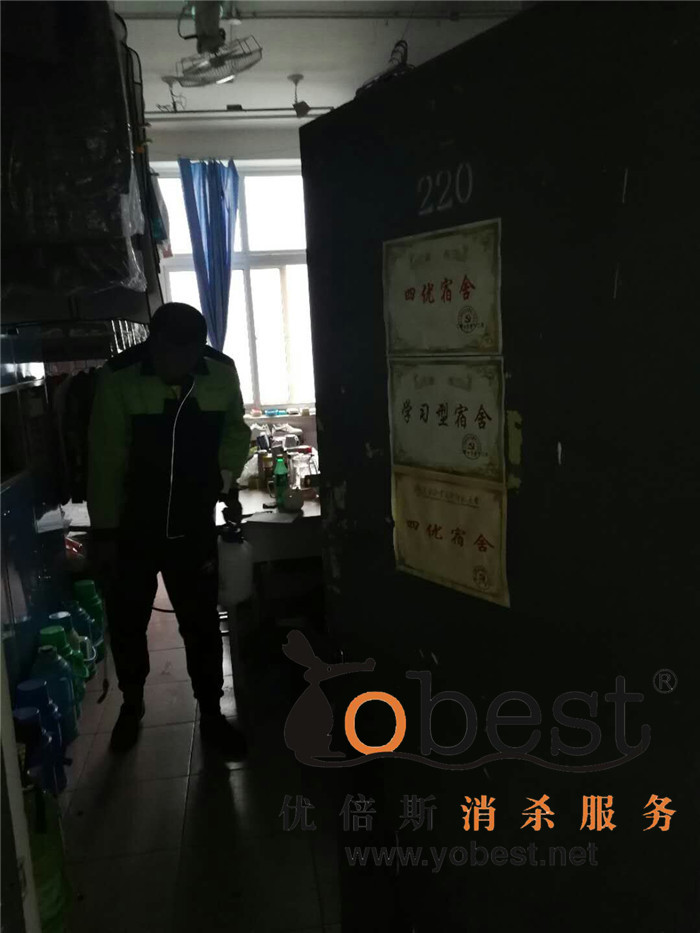成功案例