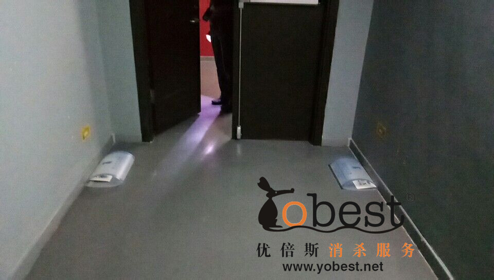 成功案例