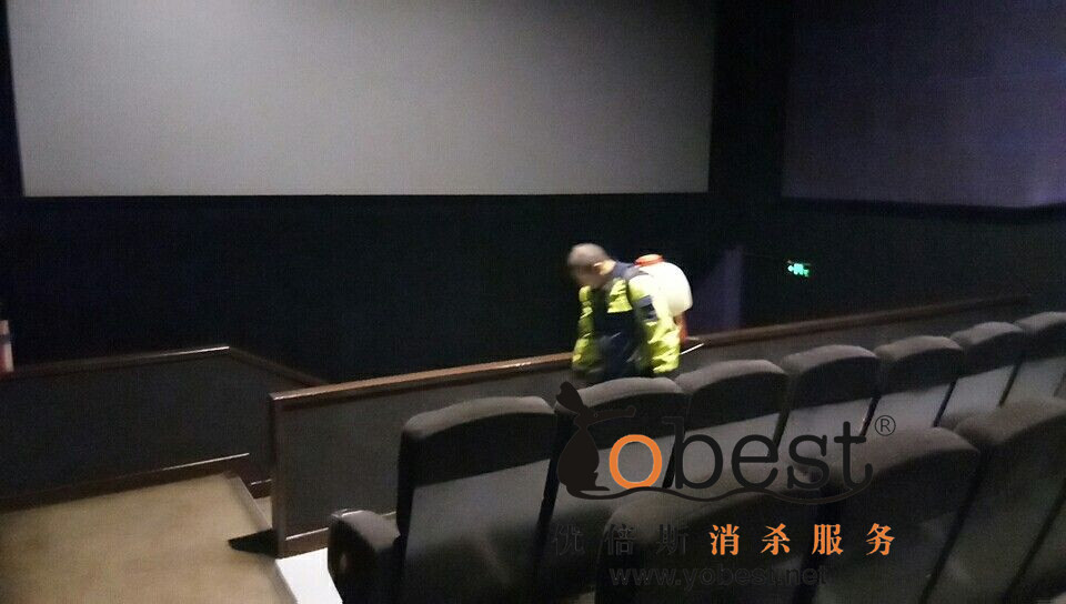 成功案例