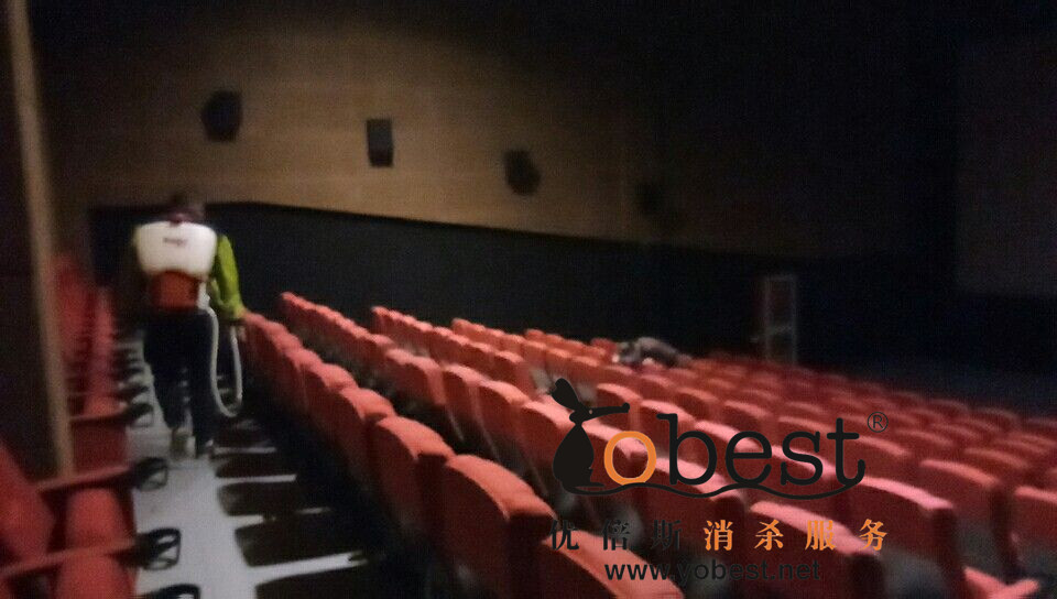 成功案例