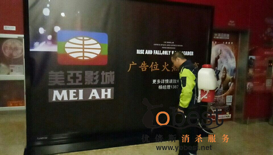 成功案例