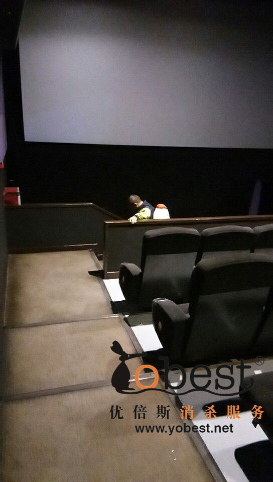 成功案例