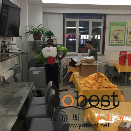 成功案例