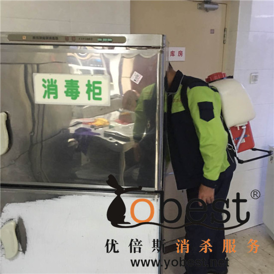 成功案例