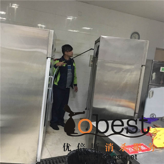 成功案例