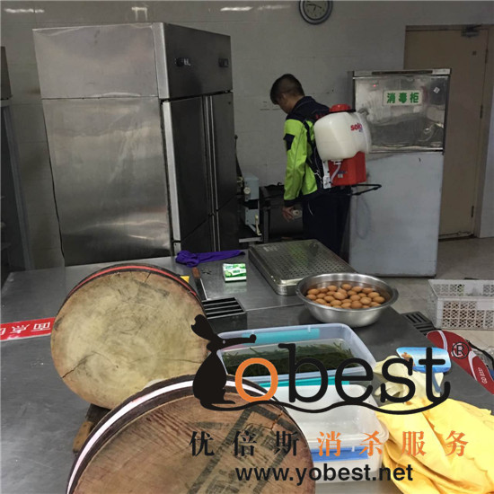 成功案例
