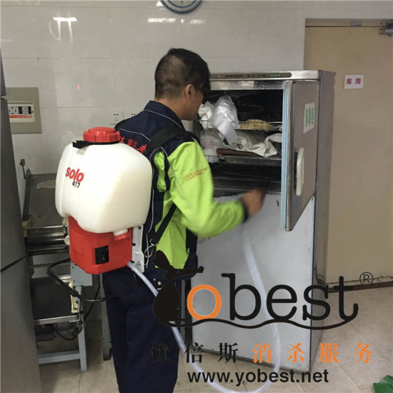 成功案例