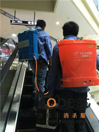 成功案例