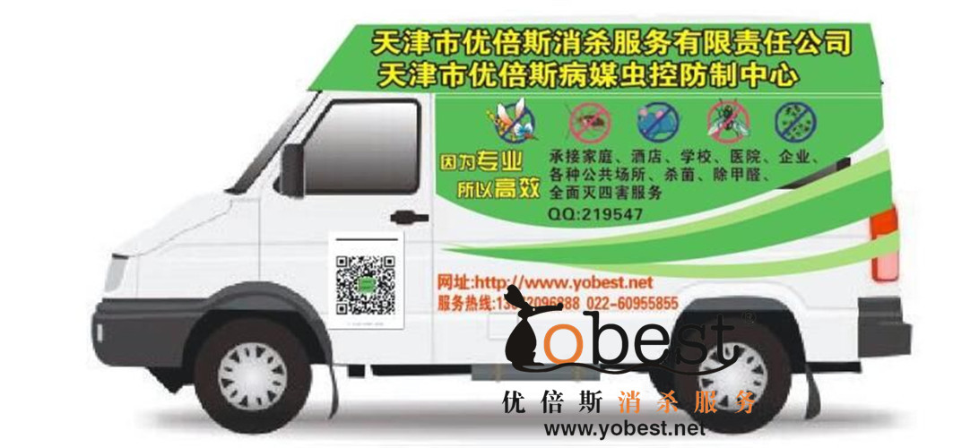 成功案例