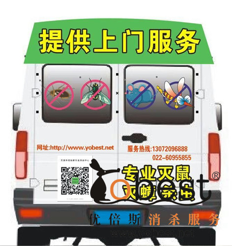 成功案例