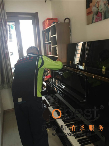 成功案例